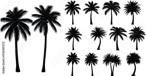 Palm tree silhouette set, black and white vector illustration, tropical plant icons, minimal botanical shapes, isolated nature design, landscape graphic elements