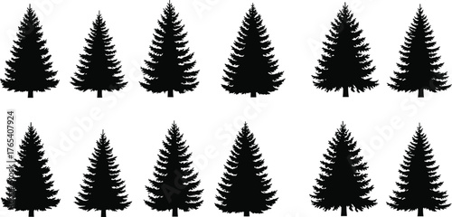 Pine tree silhouette set, black and white vector illustration, evergreen forest icons, conical tree shapes, minimal nature design, isolated graphic elements