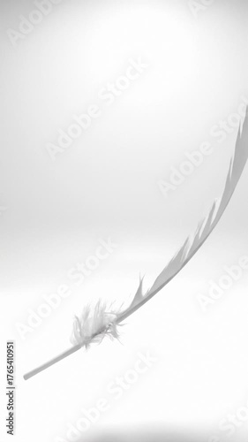 Gentle White Feather Floating Calmly in Air, Macro Shot