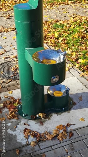 Drinking fountain water pump dispenser stream atmospheric bubbler streets free no charge for people kids dogs animals button consumption camera sliding horizontal vertical 