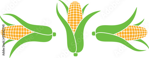 Corn set. Isolated corn on white background