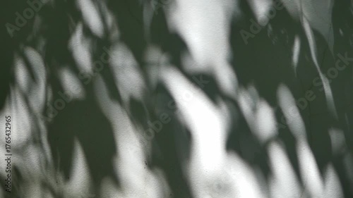The shadows of leaves on the cement wall naturally move with the wind.