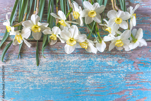 Spring holiday concept: frame of white daffodils flowers on a blue paint old wooden background; copy space
