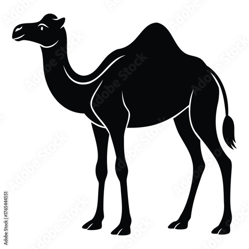 Desert Traveler Outline Majestic Camel Profile Graphic
