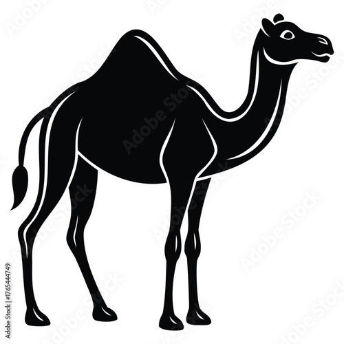 Desert Traveler Outline Majestic Camel Profile Graphic