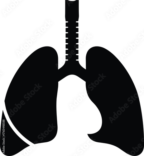 Human lungs silhouette, trachea anatomy illustration, respiratory system diagram, medical education, biology science, healthcare concept, anatomy vector, breathing organ, lung health, medicine