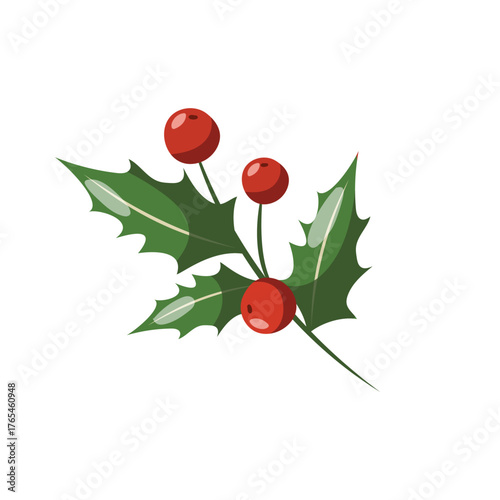 Vector Illustration Winter Berry Colorful Design