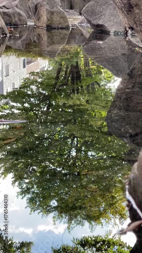 神田川10月：神田上水公園の小川の水面の反射 2025/10/23