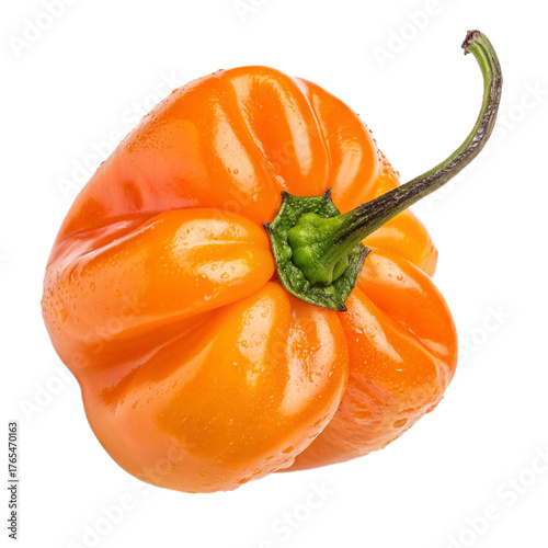 Wallpaper Mural Habanero pepper PNG (transparent) Torontodigital.ca
