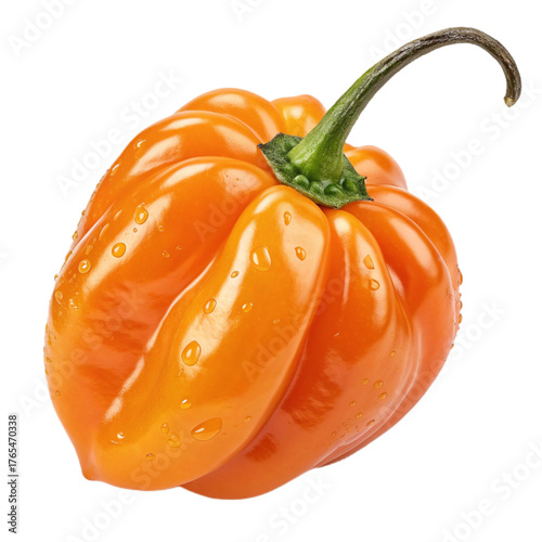 Wallpaper Mural Habanero pepper PNG (transparent) Torontodigital.ca