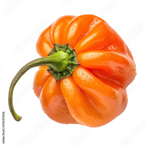 Wallpaper Mural Habanero pepper PNG (transparent) Torontodigital.ca