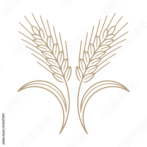 Wheat ears vector illustration for agriculture and harvest design element graphic