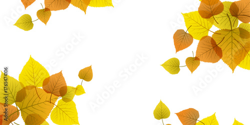 Bright autumn birch leaf on a white background. autumn leaves isolated on white. frame from different types of autumn leaves Isolated on white background.