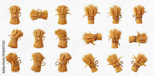 Multiple sheaves of wheat tied with twine, arranged in a grid pattern.