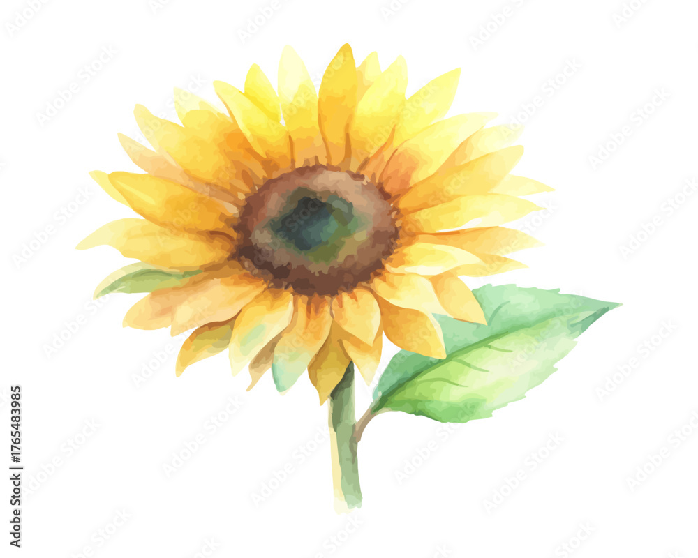 Fototapeta premium Rustic Watercolor Sunflower Arrangement for Posters 
