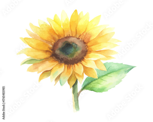 Rustic Watercolor Sunflower Arrangement for Posters 