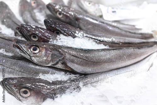 Whole hake for sale at a fishmonger