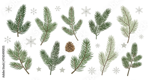 Evergreen Branches and Snowflakes A Festive Winter Botanical Set