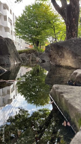 神田川10月：神田上水公園の小川の水面の反射 2025/10/23