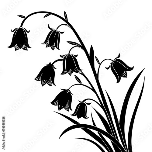Campanula Silhouette Vector Art Graceful Floral Design, Botanical Illustration. Flower Shape, Black and White Plant Element, Elegant, Nature Drawing Monochrome.