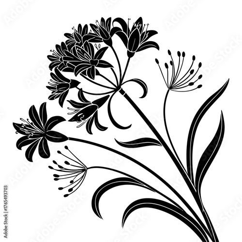 Allium Silhouette Vector Artwork Detailed Floral Design Botanical Illustration, Graceful Flower Shape, Black And White Plant Element, Elegant Nature Drawing.