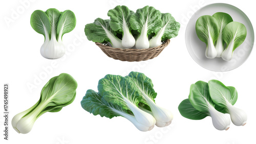 3d Fresh Bok Choy Collection Versatile Vegetable and Nutrient-Rich Source