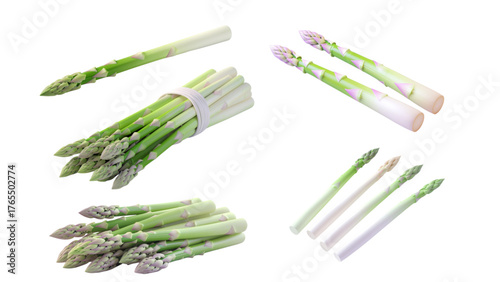 Delicious 3d Asparagus A Collection of Fresh and Nutritious Stems for Cooking