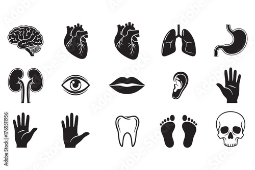Collection of black and white human body part icons including brain heart lungs stomach kidneys eye lips ear hand tooth footprints and skull