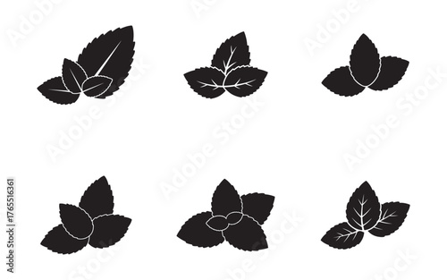 set of  mint leaves icon silhouette vector illustration design
