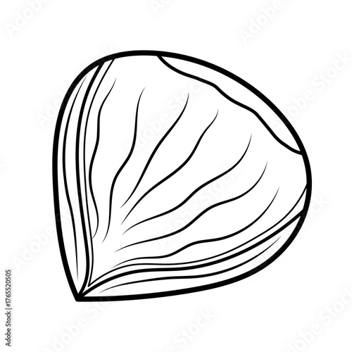 Chestnut in black and white isolated element. Healthy snack clipart in outline. Half peeled chestnut food. Great for coloring page. Vector illustration