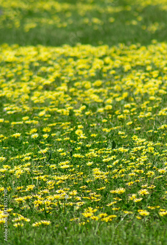 Future Learning with Artificial Intelligence