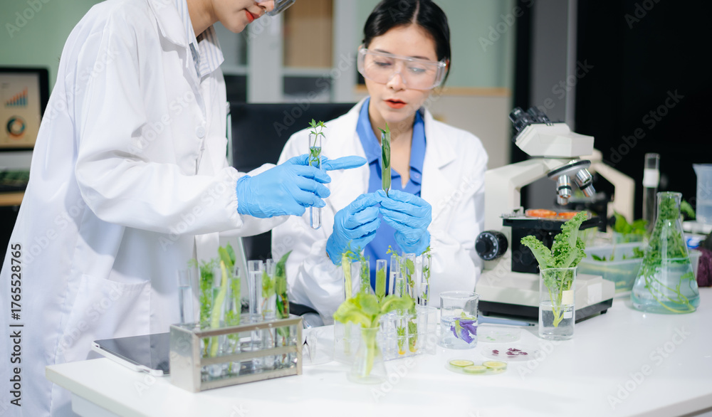 Fototapeta premium Asian food scientists in lab coats analyze vegetables with microscope for biotech, nutrition, and safety testing. Lab tubes, gloves