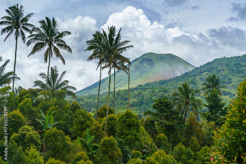 Palm trees and Mount Mahawu volcanic landscape, North Sulawesi, Indonesia