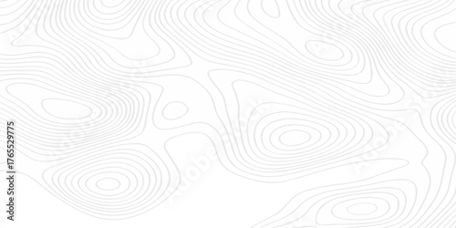 Abstract minimal The pattern discovery vector topo map creative discovery White wave grid stripe line map topography. vector geographic contour mounted map background.	