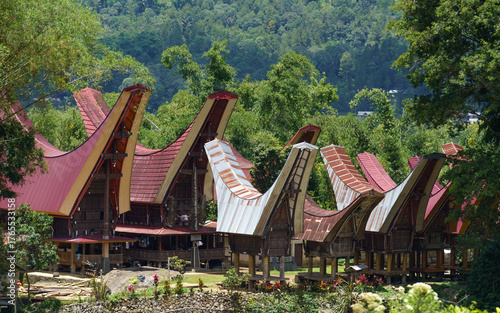 Traditional houses stand against lush green forest