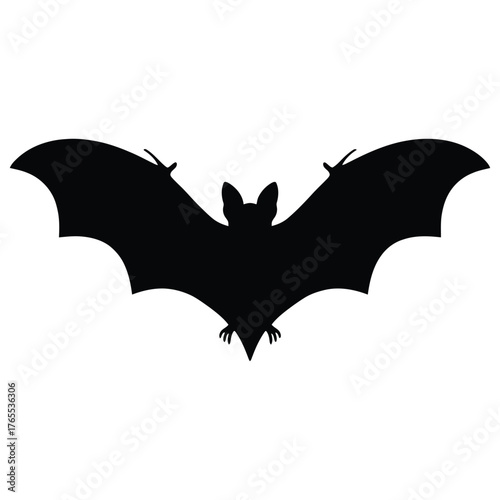 bat and bats