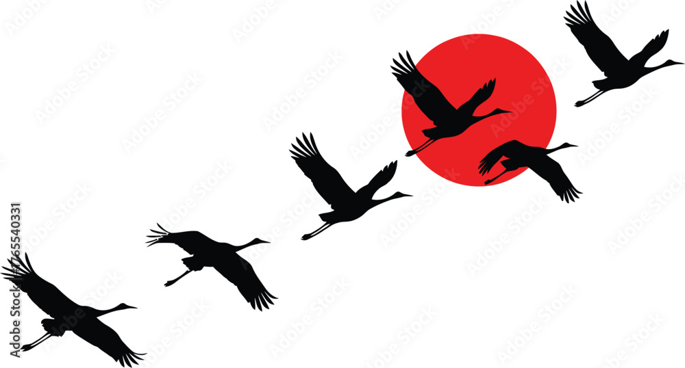 Fototapeta premium Silhouettes of graceful cranes flying in formation against a vibrant red sun on a white background