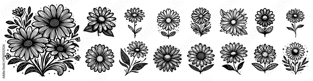 Fototapeta premium Blooming daisy bouquet and ornamental floral elements set detailed engraving botanical vector collection