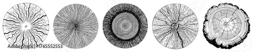 Tree trunk cross section rings collection vintage engraving vector illustration
