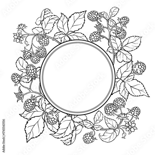 Raspberry Branch with Flowers, Berries and Leaves Outline Round Frame. Organic natural nutritional healthy food ingredient, vegetarian diet product. Vector isolated for design or decoration.