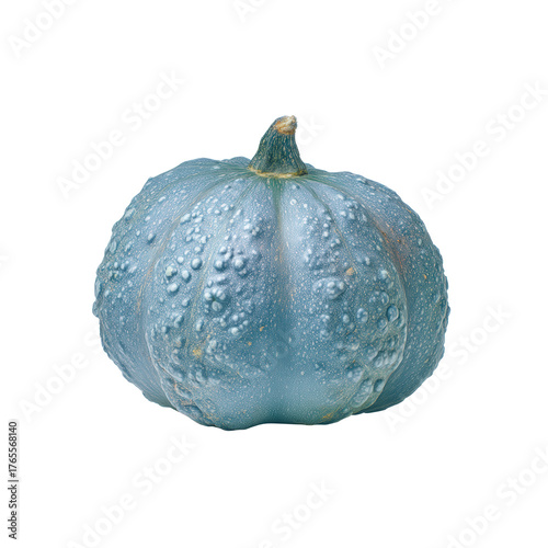 A bumpy blue pumpkin with a small stem, isolated on transparent background