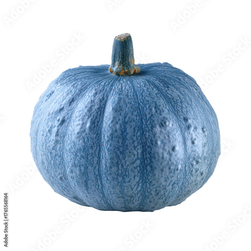 A textured blue pumpkin with a prominent stem, isolated on transparent background