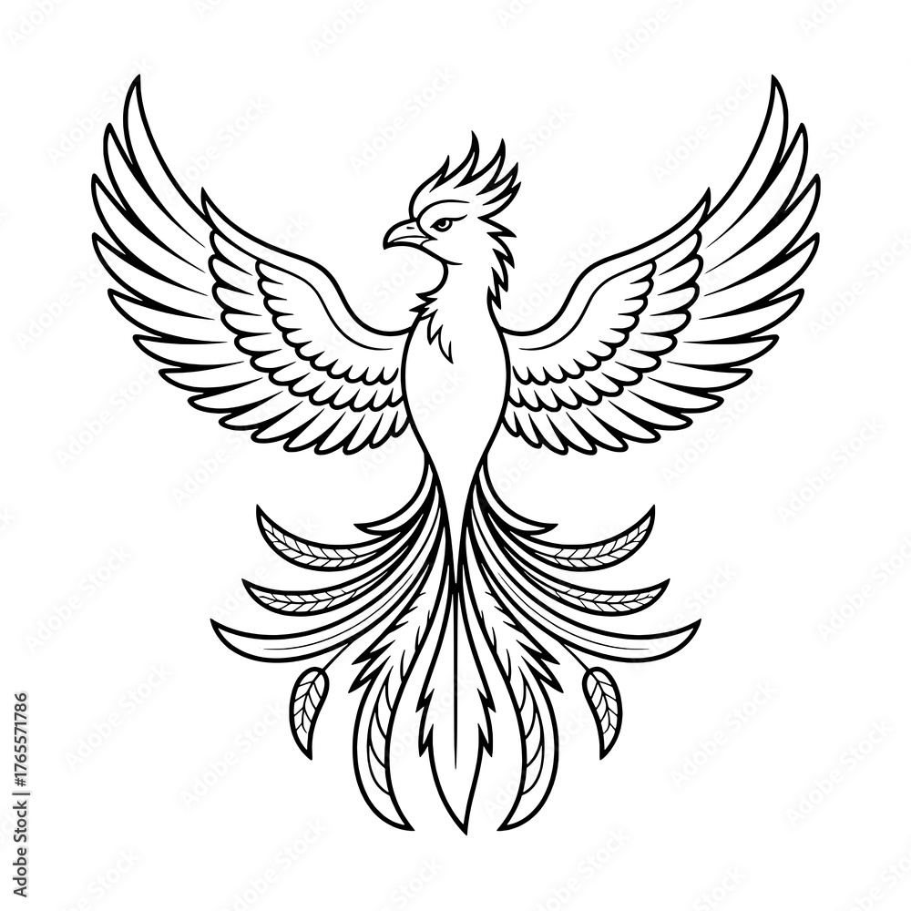 Fototapeta premium Black Outline Phoenix Emblem with Spread Wings and Intricately Detailed Tail on Pure White Background