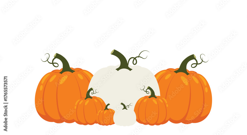 Obraz premium Assortment of Pumpkins for Autumn and Halloween Decorations.