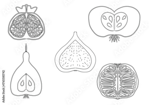 A set of folk art style fruit illustrations (pomegranate, fig, apple) in a stipple technique. Great for rustic branding, kitchen decor, organic food packaging, and textile patterns.