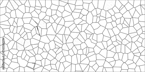 Abstract Voronoi Pattern Geometric Tessellation Black Lines White Background Organic Cellular Structure