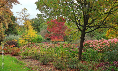 Gardens - Autumn Colours