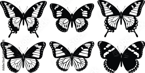 Butterfly, insect, black and white, silhouette, wings, nature, illustration, graphic, design, pattern, symmetry, species, sketch, drawing, vintage, entomology, wildlife, artistic, decorative, detailed