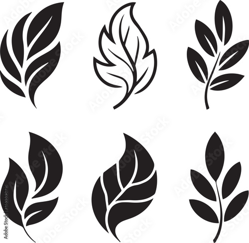 Six Black Silhouette Leaf Icons and Branches on White Background leaves
