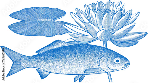 Hand-drawn blue sketch of aquatic life featuring a freshwater fish, water lily flower, and lily pad illustration